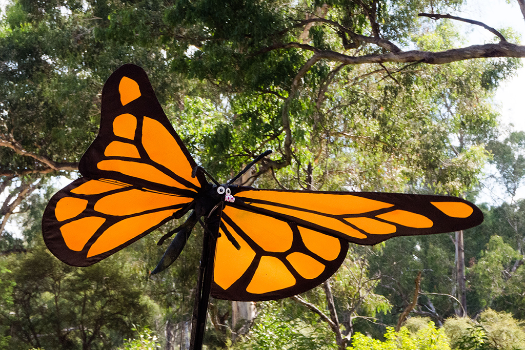 Giant Bugs - Butterfly