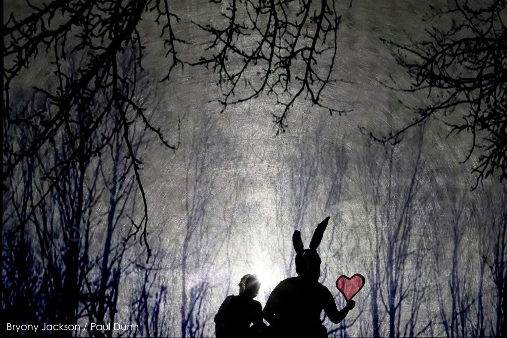 HERO-5-Heart-Tree-shadows-566_BryonyJackson_HiRes-copy.jpg